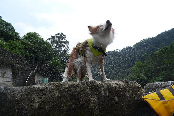 P1340749.JPG