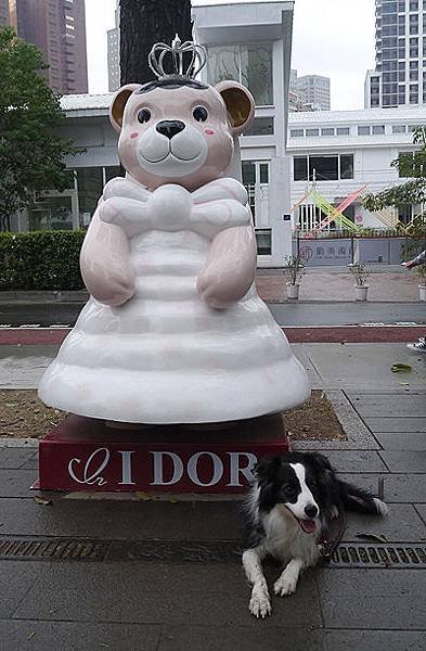 P1410763.JPG