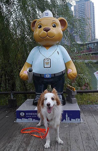 P1410848.JPG
