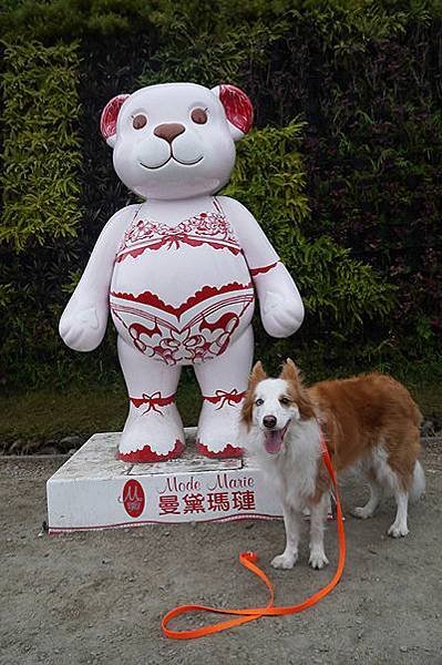 P1410855.JPG
