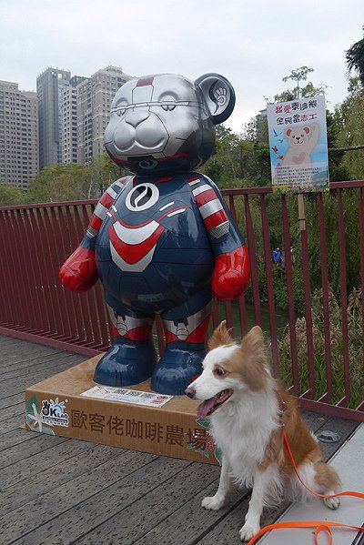 P1410862.JPG