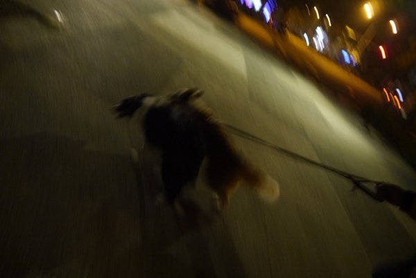 P1420125.JPG