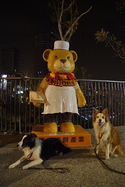 P1420146.JPG