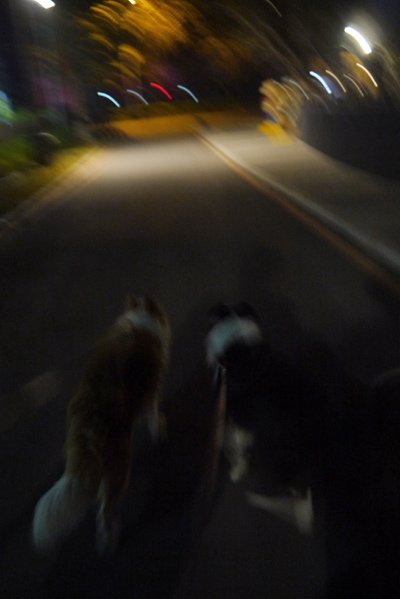 P1420152.JPG