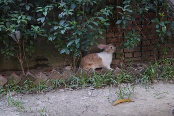 P1500013.JPG