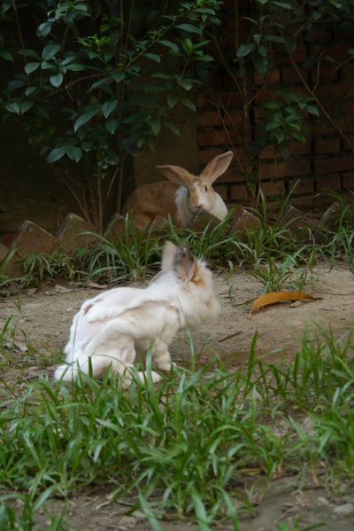 P1500017.JPG