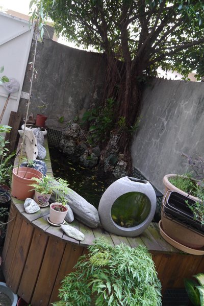 P1500034.JPG
