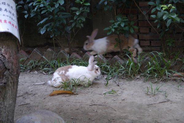 P1500089.JPG