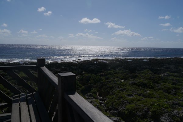 P1560927.JPG