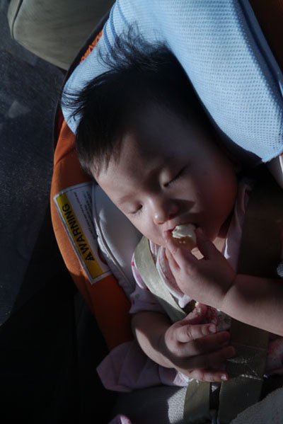 P1570017.JPG