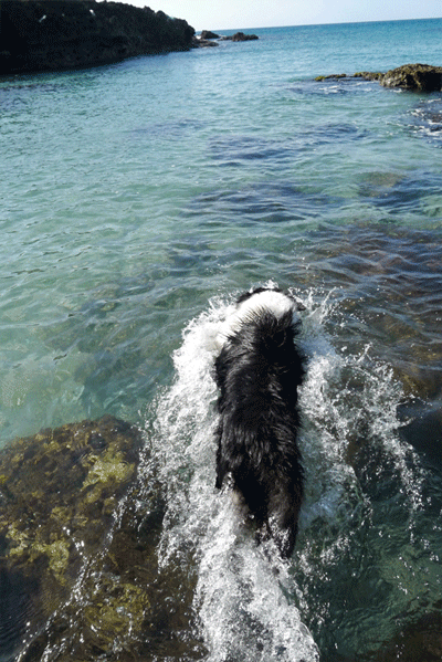 14112402.gif