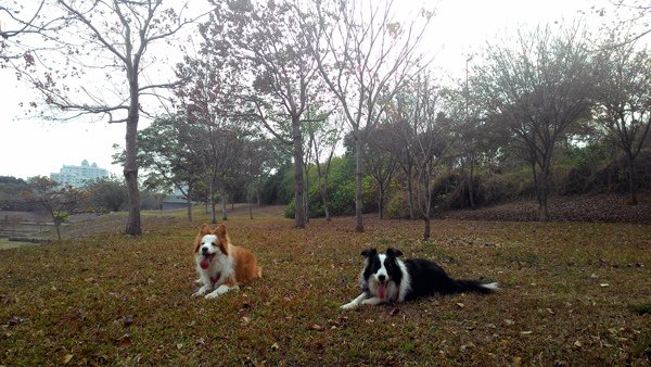 P_20150125_153754.jpg