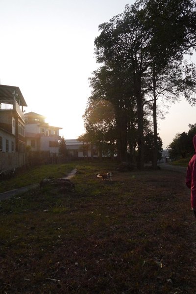 P1590793.JPG