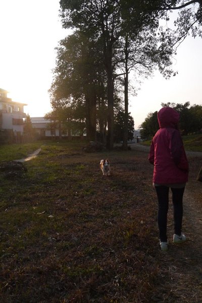 P1590794.JPG