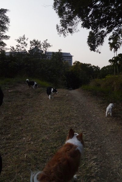 P1590803.JPG