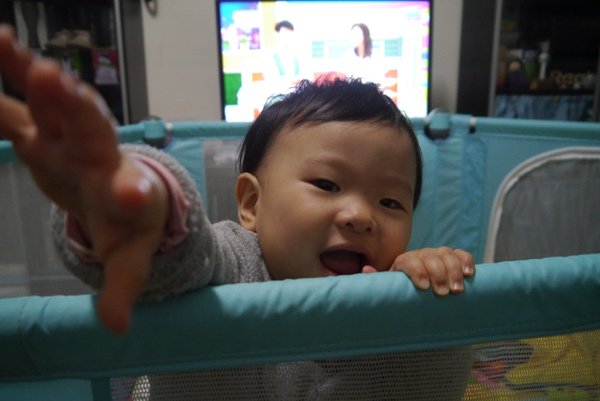 P1590410.JPG
