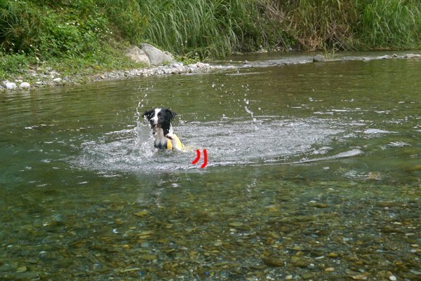 P1600886.JPG