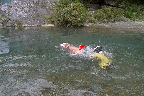 P1600891.JPG