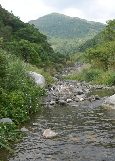 P1630019.JPG