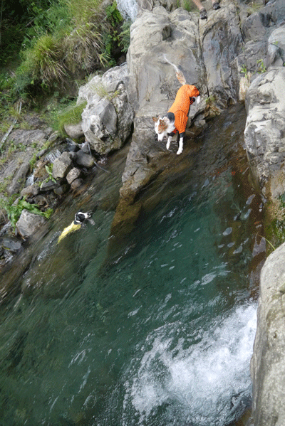 P1630213.gif