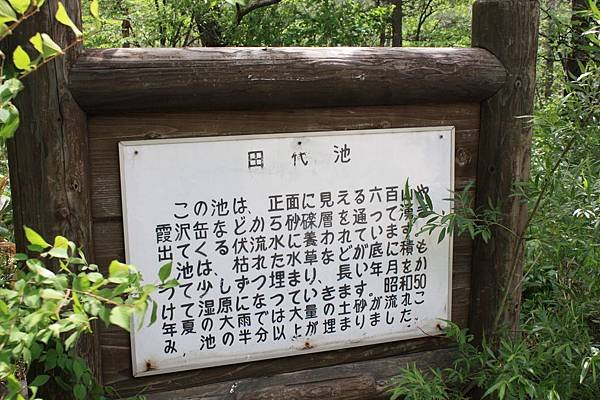 IMG_7745.JPG