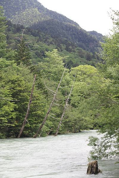 IMG_7785.JPG