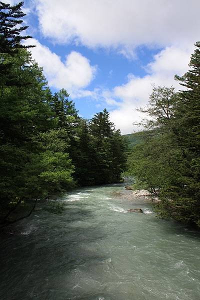 IMG_7820.JPG