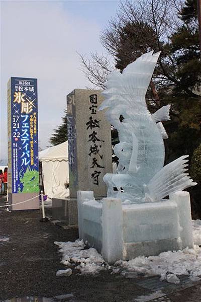 IMG_8865.JPG