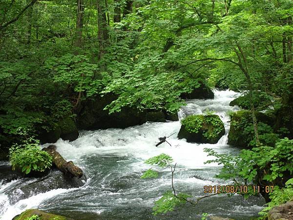 IMG_0914