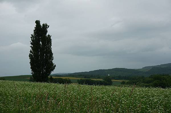DSC02069.JPG