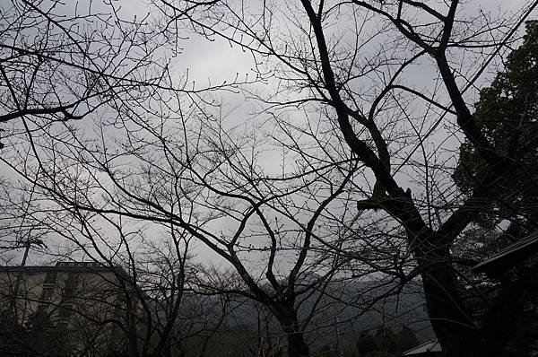 DSC05057.JPG