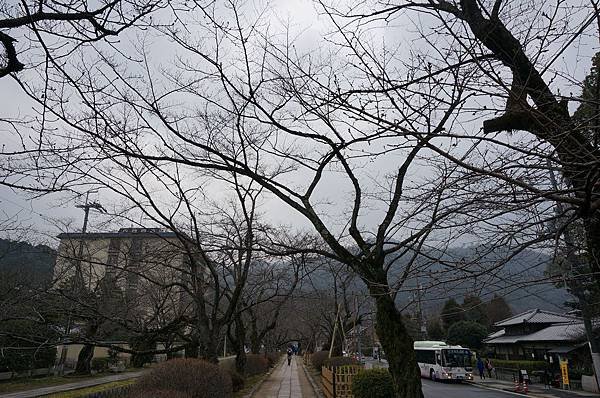 DSC05058.JPG