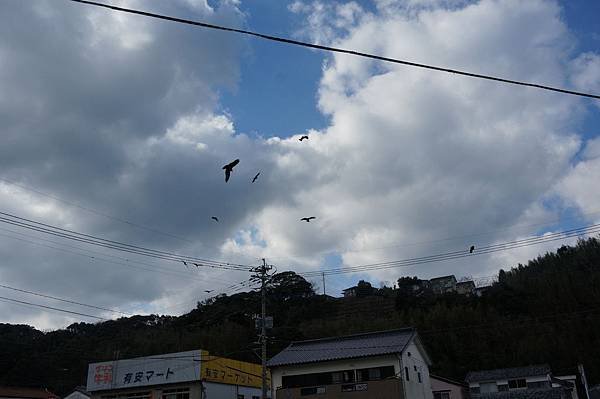 DSC09090.JPG