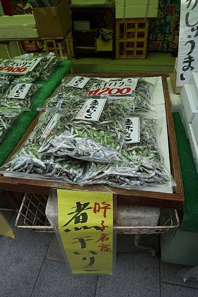 DSC09103.JPG