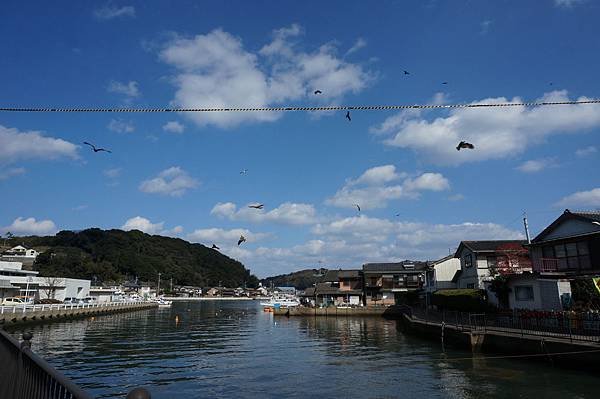 DSC09111.JPG