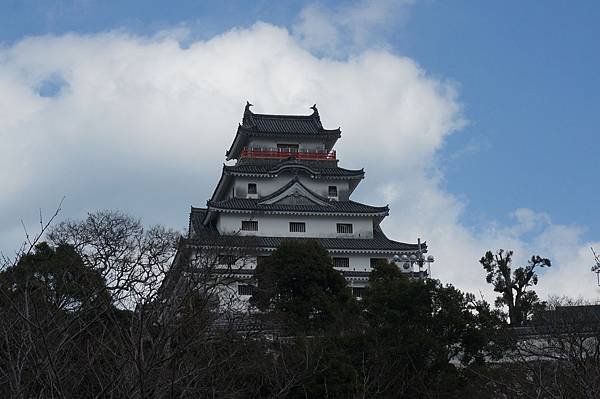 DSC09113.JPG