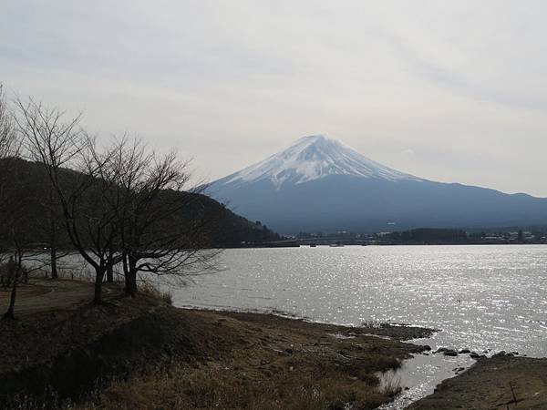 IMG_1913.JPG