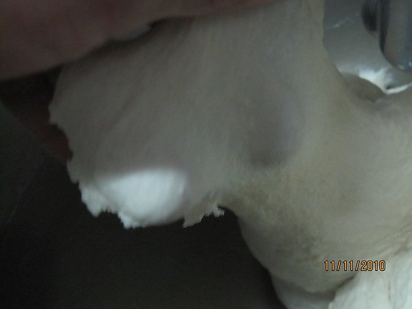 20101111 004.jpg