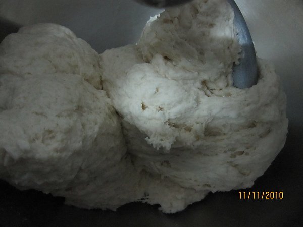 20101111 002.jpg