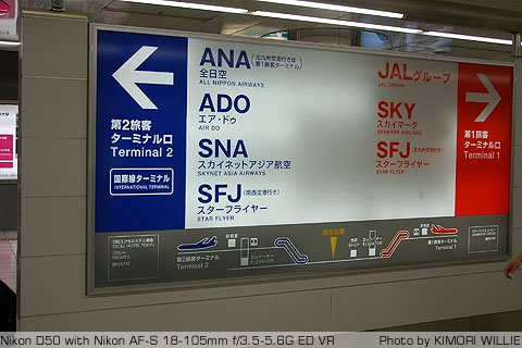 DSC_9551.JPG