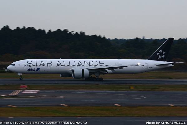 DSC_9101.JPG