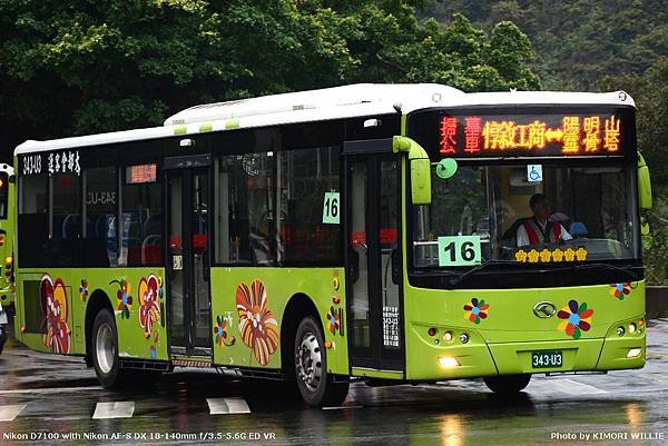 343U3.JPG