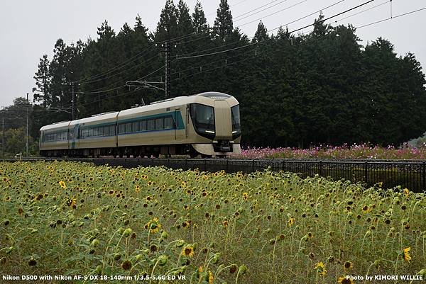 2024.10.18 秋関東7日 第3天（一） SL大樹拍攝