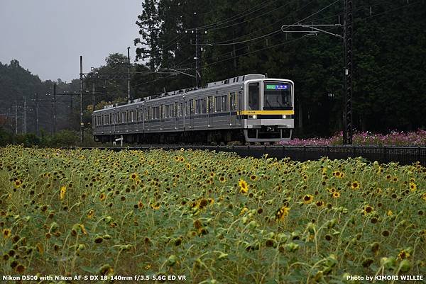 2024.10.18 秋関東7日 第3天（一） SL大樹拍攝