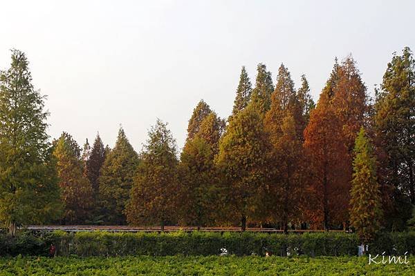 照片 281.jpg