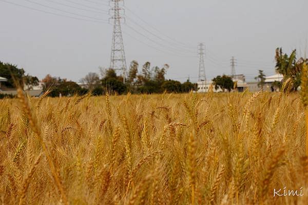 照片 104.jpg