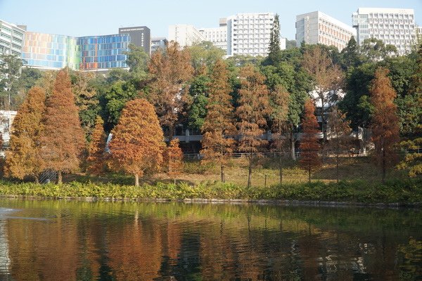 DSC01925