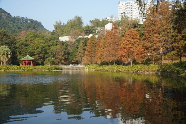 DSC01948