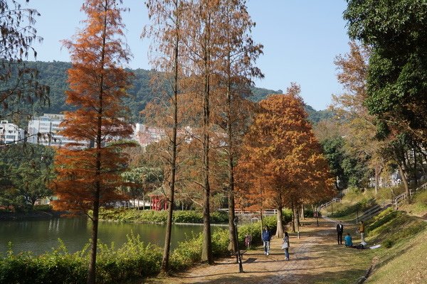 DSC01985