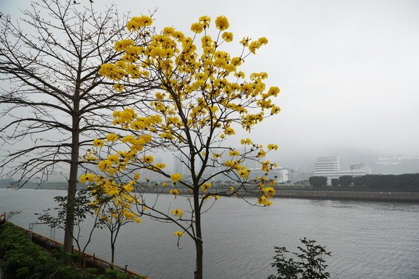 DSC04095